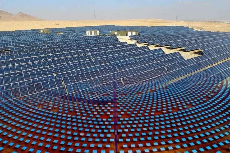 "الألواح الشمسية تغير العالم: تأثيرات غريبة تظهر"
