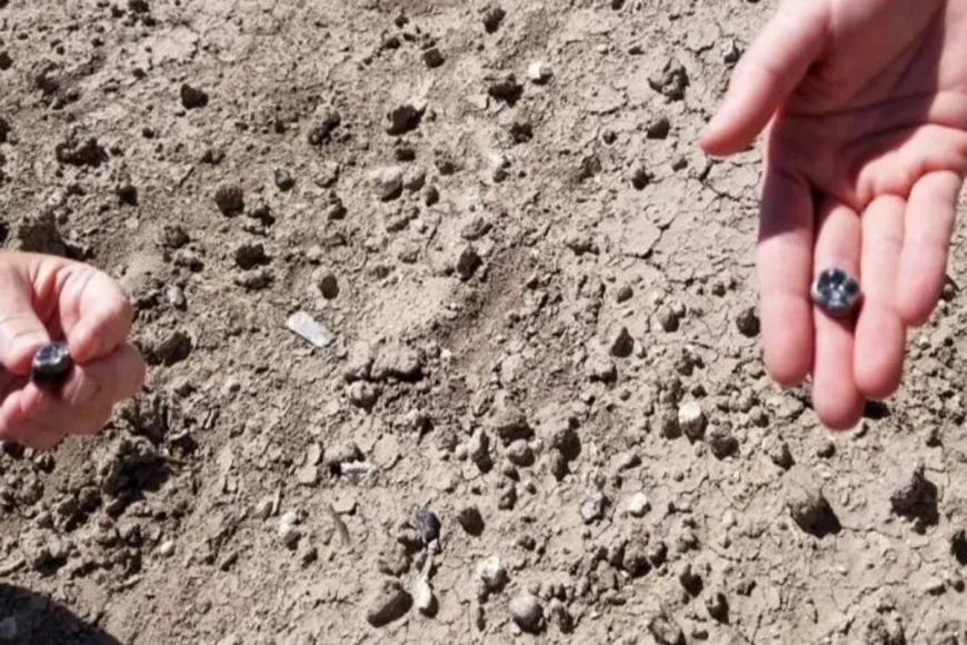 العثور على أسنان عمرها 2.8 مليون سنة لأنواع بشرية مختلفة